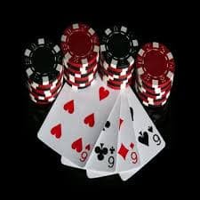 leao bet 77